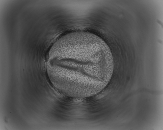 X0000091700624200709210923