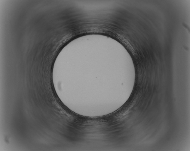 X0000091700625200709210923