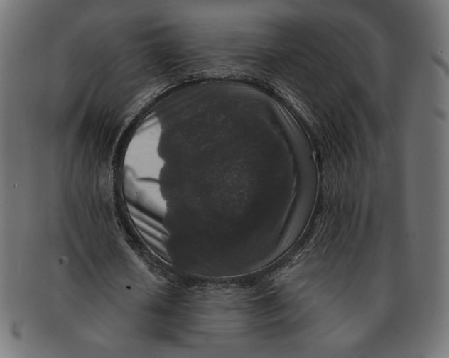 X0000091700626200709210923