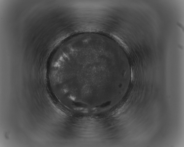 X0000091700627200709210923