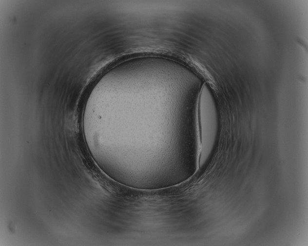 X0000091700628200709210923