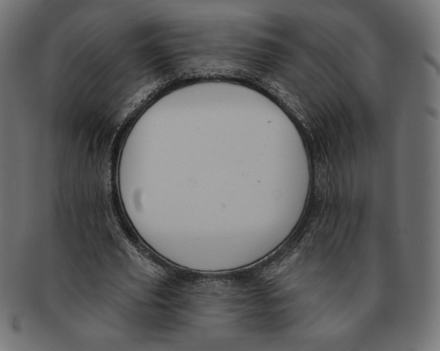 X0000091700629200709210923