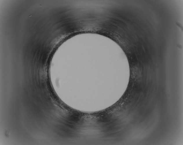 X0000091700632200709210923