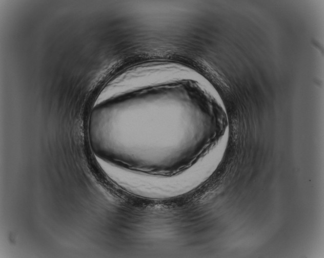 X0000091700634200709210923