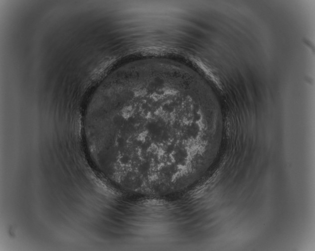 X0000091700637200709210923