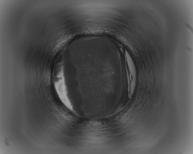 X0000091700640200709210923