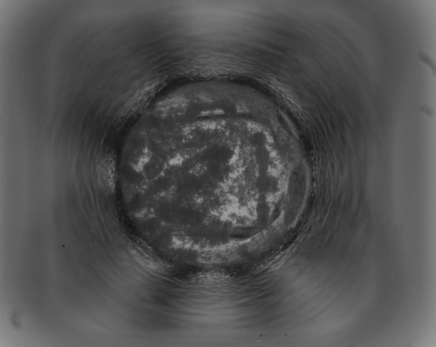 X0000091700644200709210923