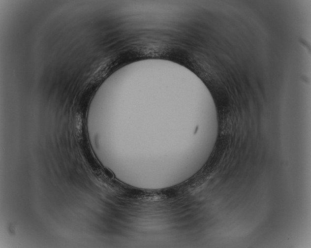 X0000091700646200709210923