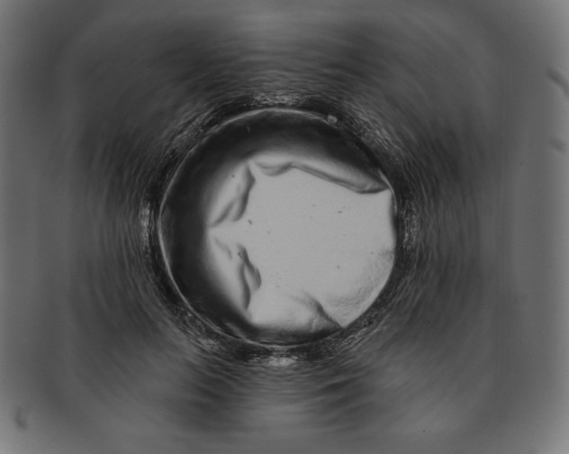 X0000091700647200709210923