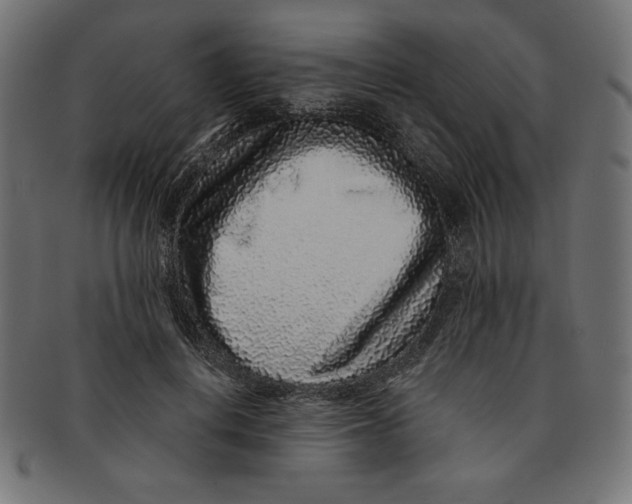 X0000091700648200709210923