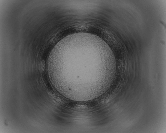 X0000091700649200709210923