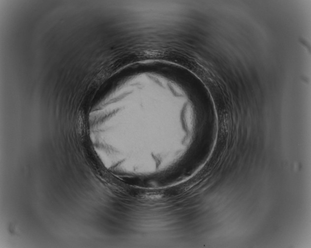 X0000091700651200709210923