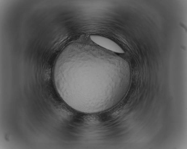 X0000091700652200709210923