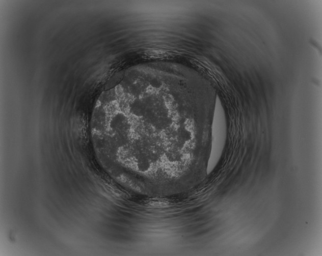 X0000091700653200709210923