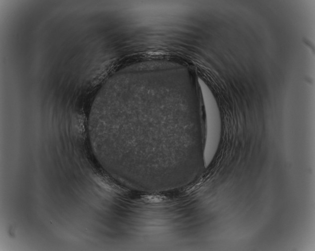 X0000091700654200709210923