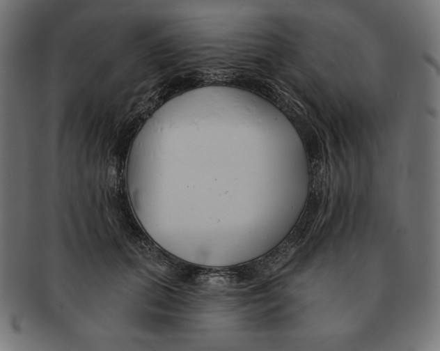 X0000091700655200709210923