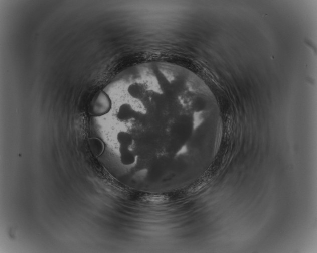 X0000091700659200709210923