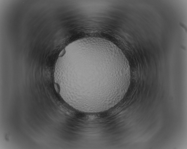 X0000091700662200709210923