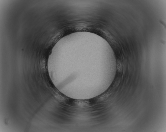 X0000091700670200709210923