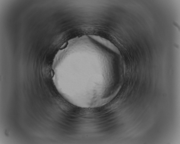 X0000091700671200709210923