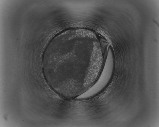 X0000091700673200709210923