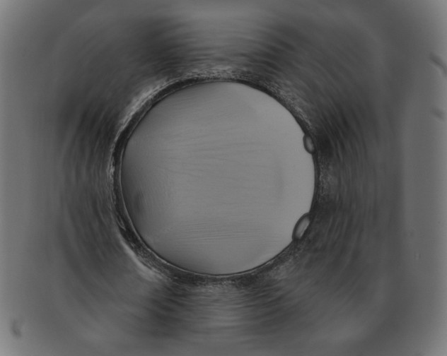 X0000091700674200709210923