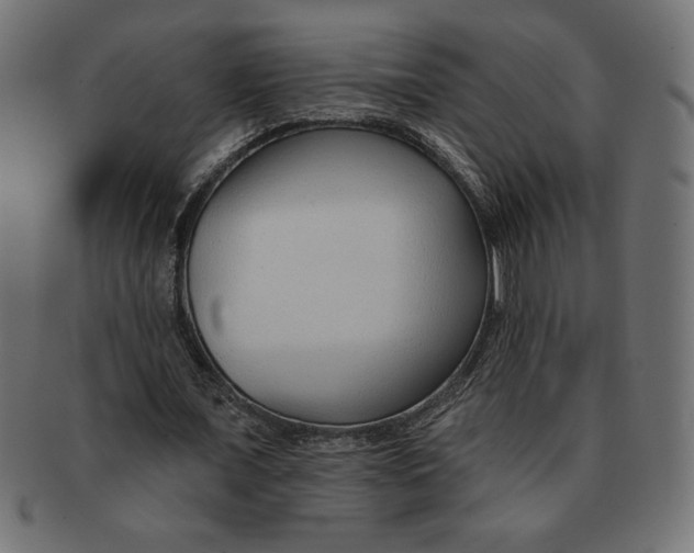 X0000091700675200709210923