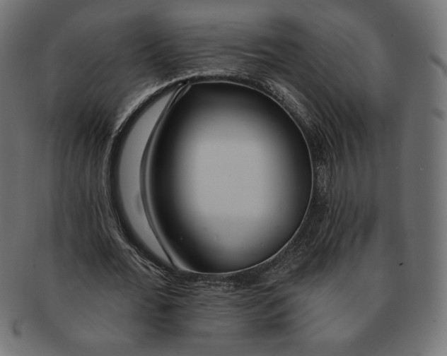 X0000091700676200709210923