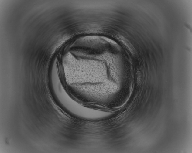 X0000091700677200709210923