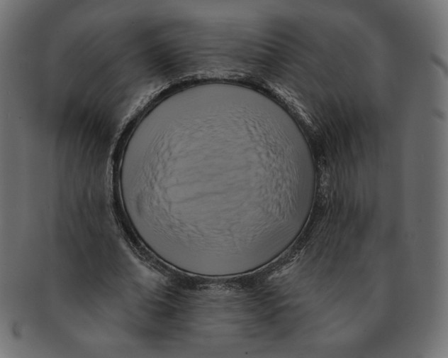 X0000091700678200709210923