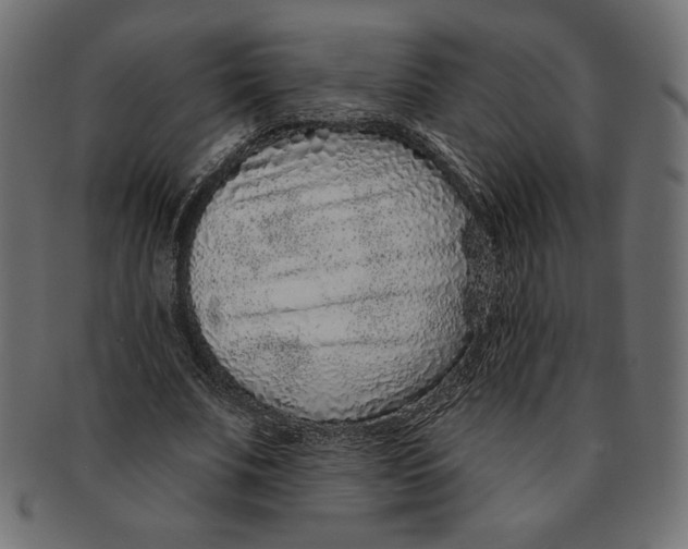 X0000091700679200709210923