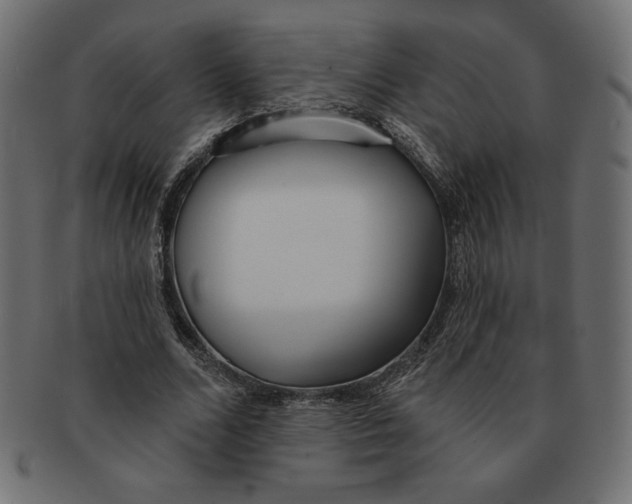 X0000091700680200709210923