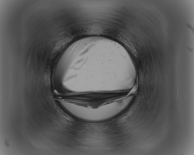 X0000091700681200709210923