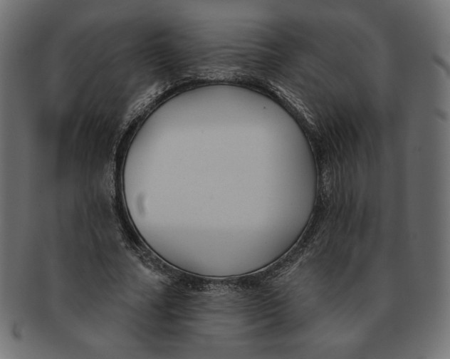 X0000091700682200709210923