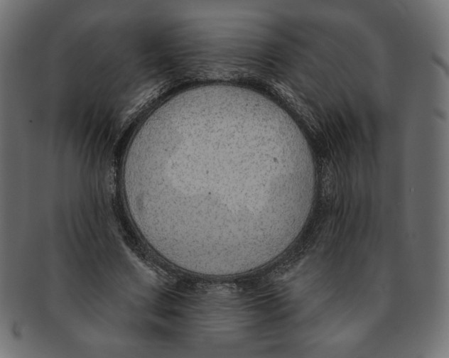 X0000091700683200709210923