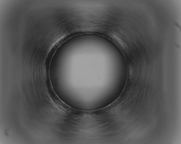 X0000091700684200709210923