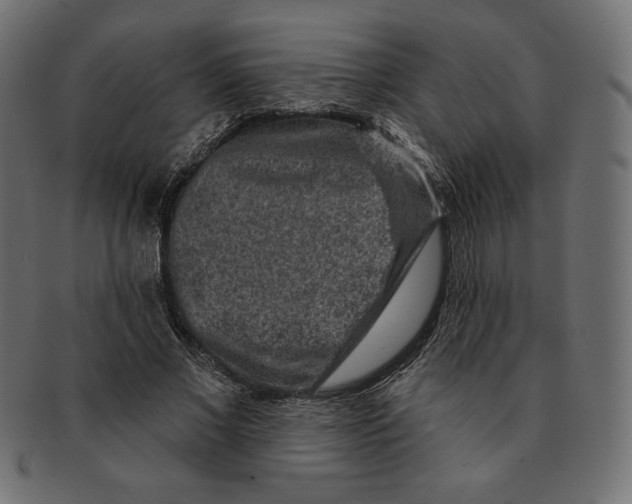 X0000091700685200709210923