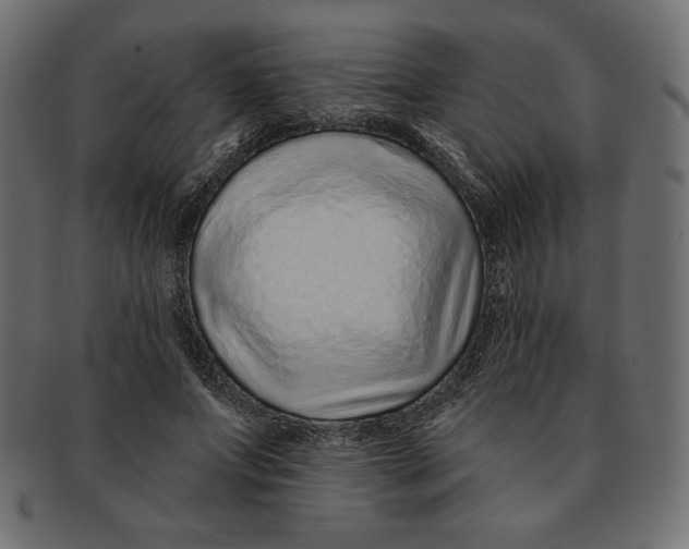 X0000091700687200709210923