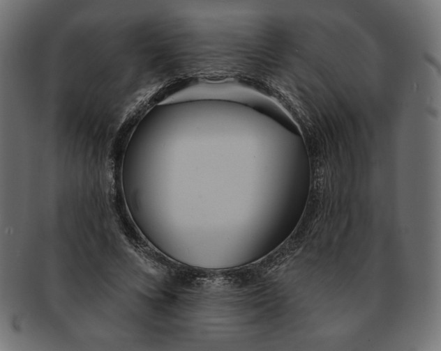 X0000091700688200709210922