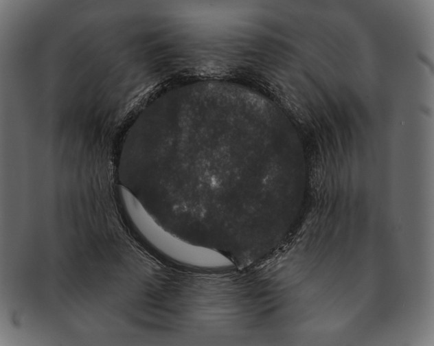 X0000091700689200709210922