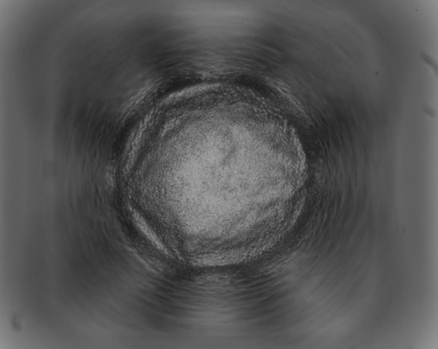 X0000091700691200709210922