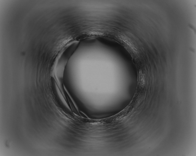 X0000091700692200709210922