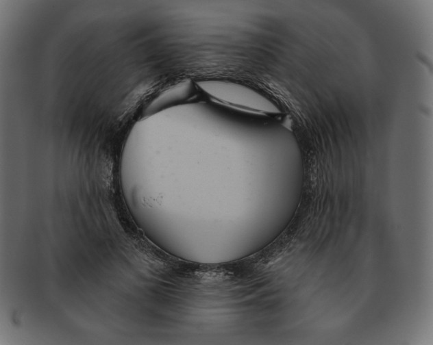 X0000091700693200709210922