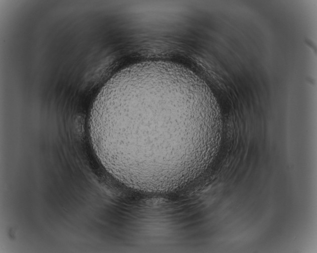 X0000091700695200709210922