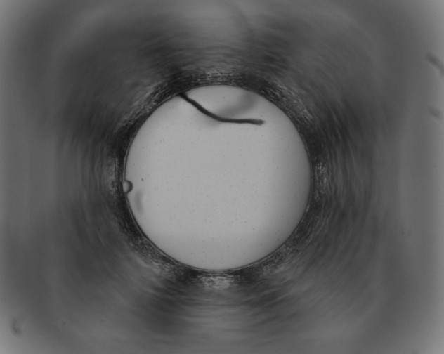 X0000091700698200709210922