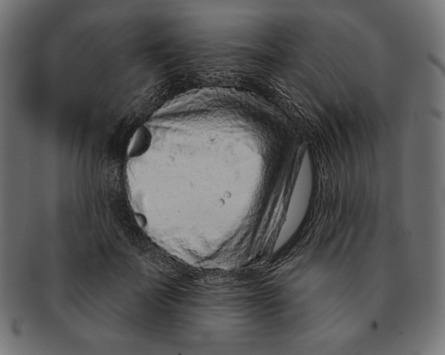 X0000091700699200709210922