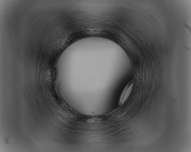 X0000091700700200709210922