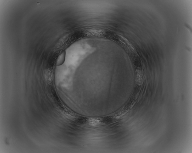 X0000091700701200709210922