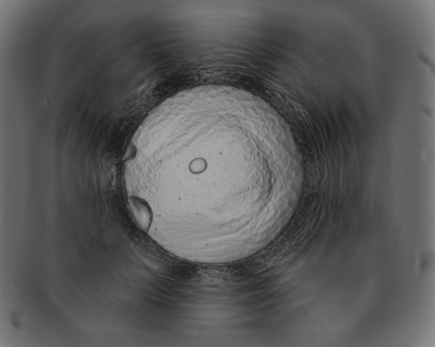 X0000091700703200709210922