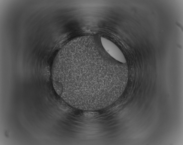 X0000091700707200709210922